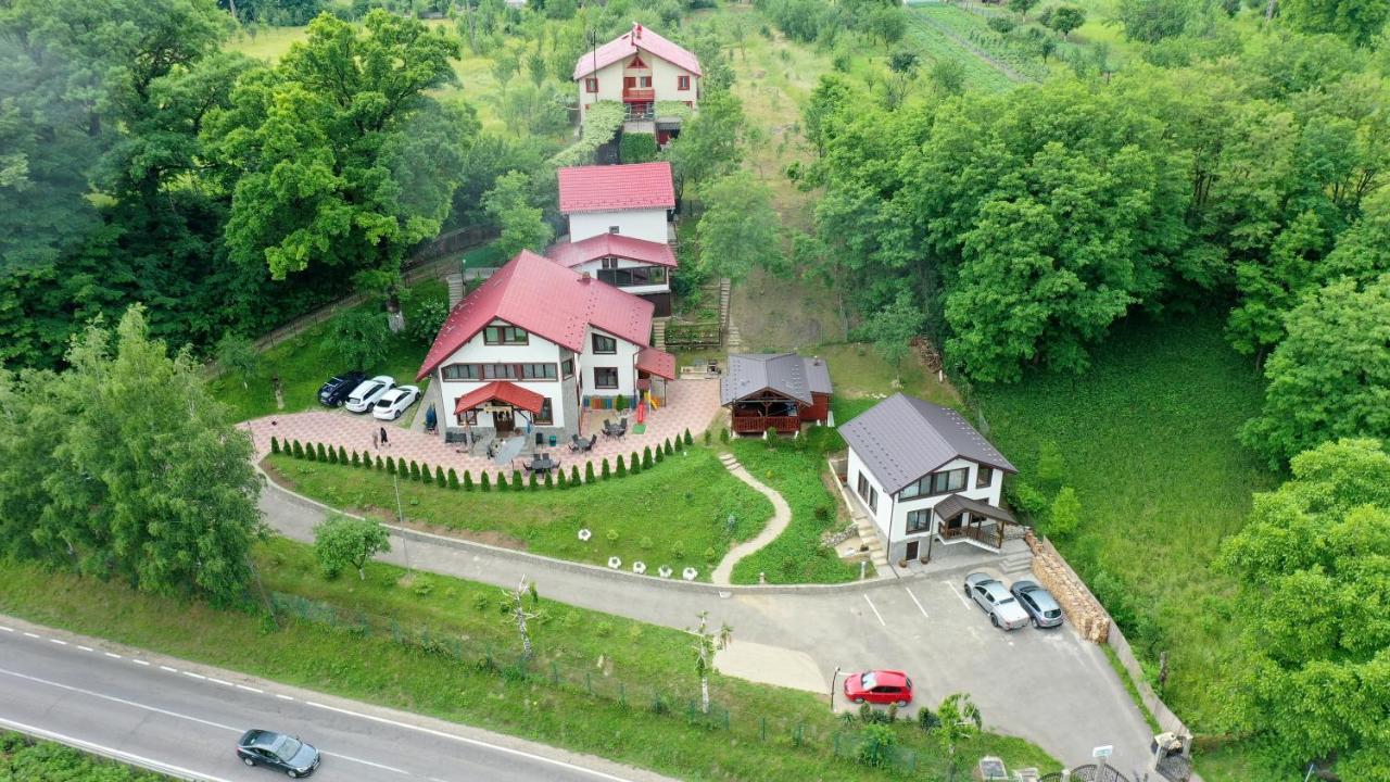 Hotel Stejarul Lui Andrei Izvoarele  Exteriér fotografie